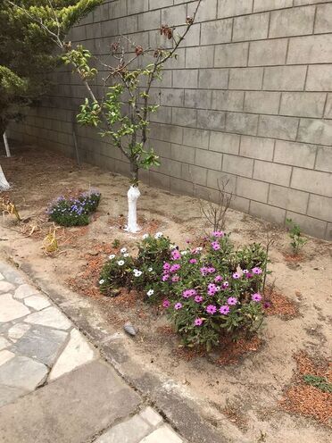 3 otaqlı həyət evi/bağ evi - Albalılıq q. - 100 m² (28)