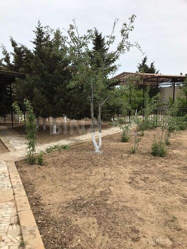 3 otaqlı həyət evi/bağ evi - Albalılıq q. - 100 m² (30)