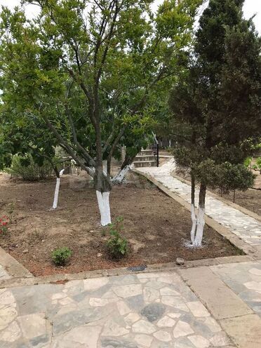 3 otaqlı həyət evi/bağ evi - Albalılıq q. - 100 m² (25)