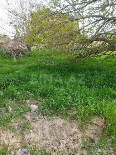 Torpaq - Digah q. - 15 sot (2)