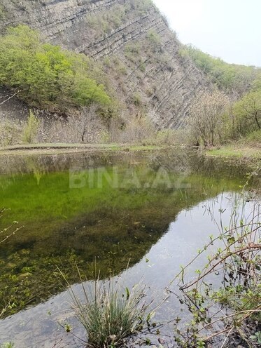 Продаётся  участок 500 сот, photo 31 from 32