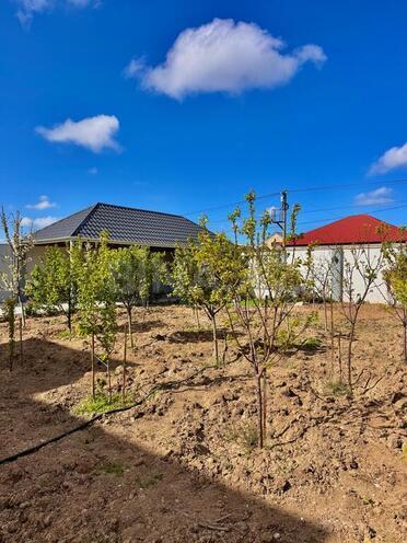 Продаётся 5-комн. дом/дача 350 м², пос. Мардакан, photo 28 from 30