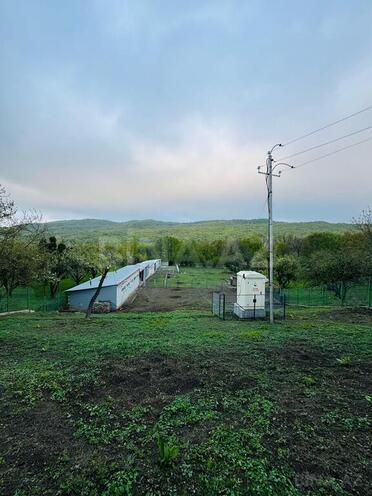 Obyekt - Quba - 600 m² (29)