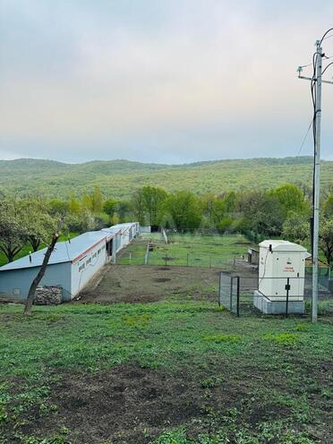 Obyekt - Quba - 600 m² (1)