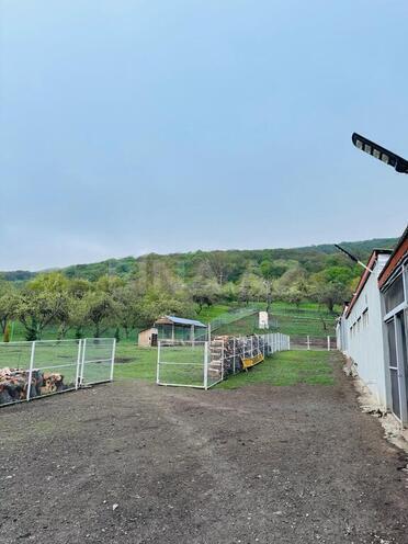 Obyekt - Quba - 600 m² (28)
