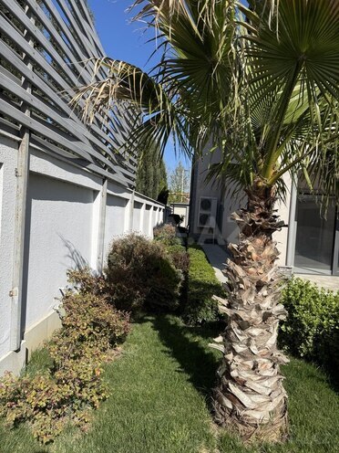 8 otaqlı həyət evi/bağ evi - Buzovna q. - 580 m² (4)