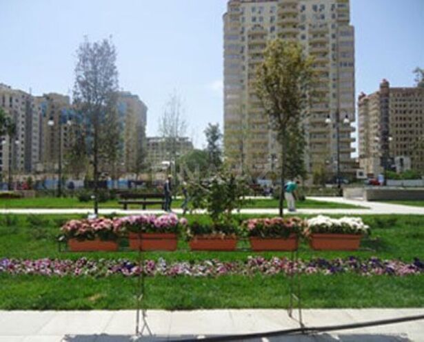 3-комн. новостройка - м. Сахил - 138 м² (12)