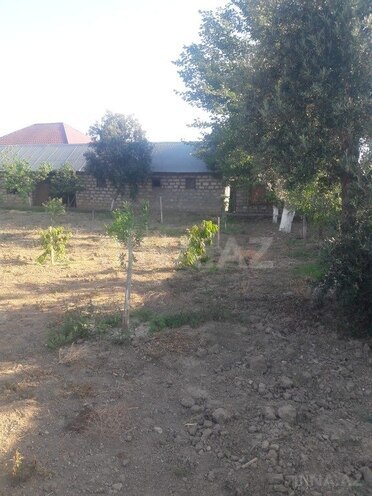 4 otaqlı həyət evi/bağ evi - Maştağa q. - 240 m² (30)