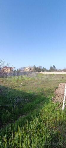 Torpaq - Qala q. - 15.3 sot (1)