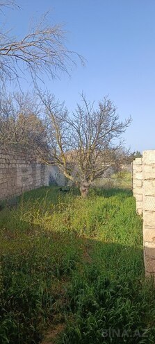 Torpaq - Qala q. - 15.3 sot (2)