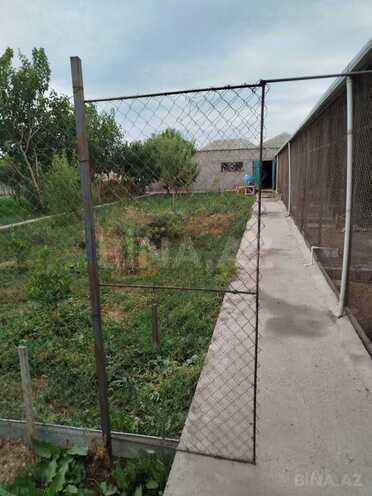 3 otaqlı həyət evi/bağ evi - Binə q. - 65 m² (13)