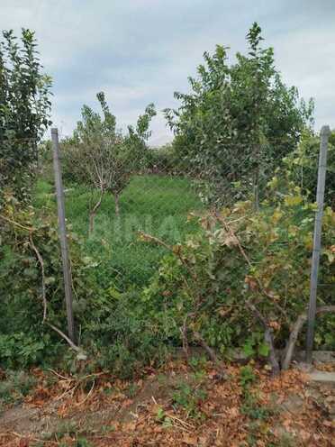 3 otaqlı həyət evi/bağ evi - Binə q. - 65 m² (14)