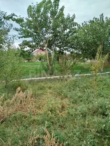 3 otaqlı həyət evi/bağ evi - Binə q. - 65 m² (15)