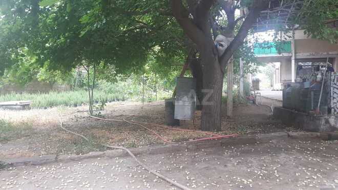 7 otaqlı həyət evi/bağ evi - Novxanı q. - 220 m² (11)