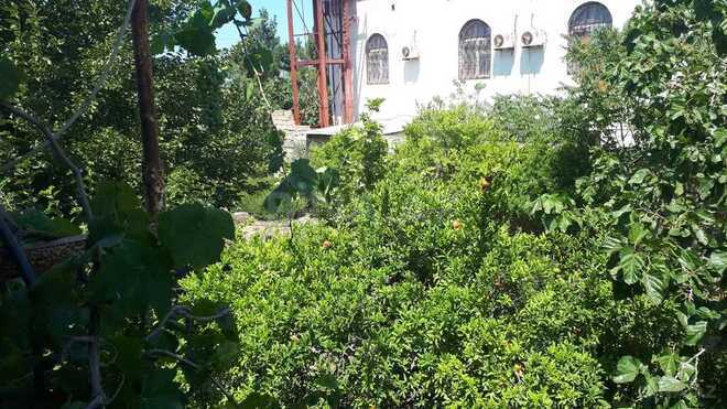 7 otaqlı həyət evi/bağ evi - Novxanı q. - 220 m² (13)