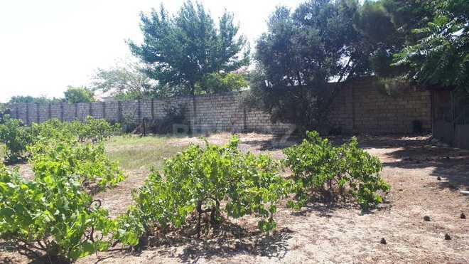 7 otaqlı həyət evi/bağ evi - Novxanı q. - 220 m² (21)