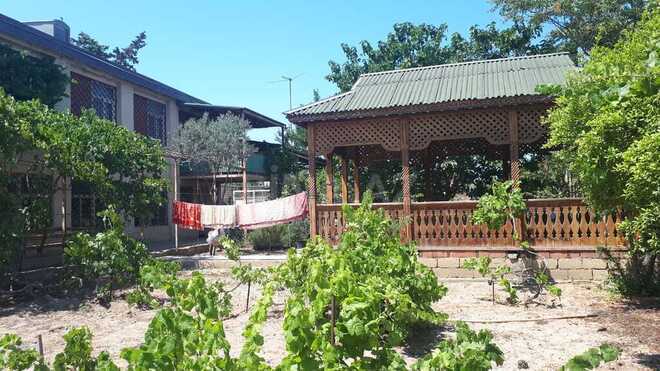 7 otaqlı həyət evi/bağ evi - Novxanı q. - 220 m² (19)