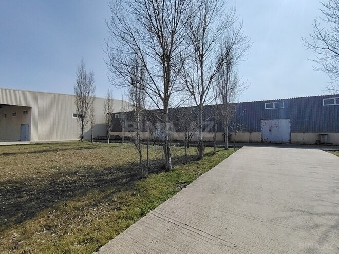 Obyekt - Aşağı Güzdək q. - 30000 m² (6)