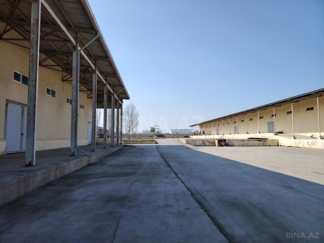 Obyekt - Aşağı Güzdək q. - 30000 m² (2)