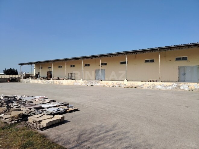 Obyekt - Aşağı Güzdək q. - 30000 m² (3)