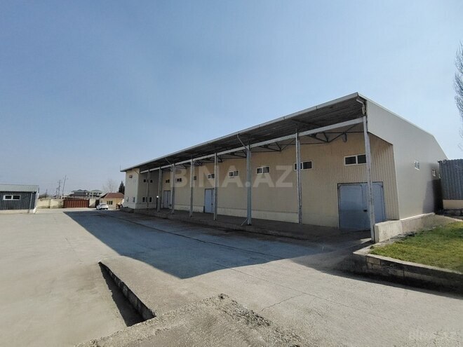 Obyekt - Aşağı Güzdək q. - 30000 m² (1)