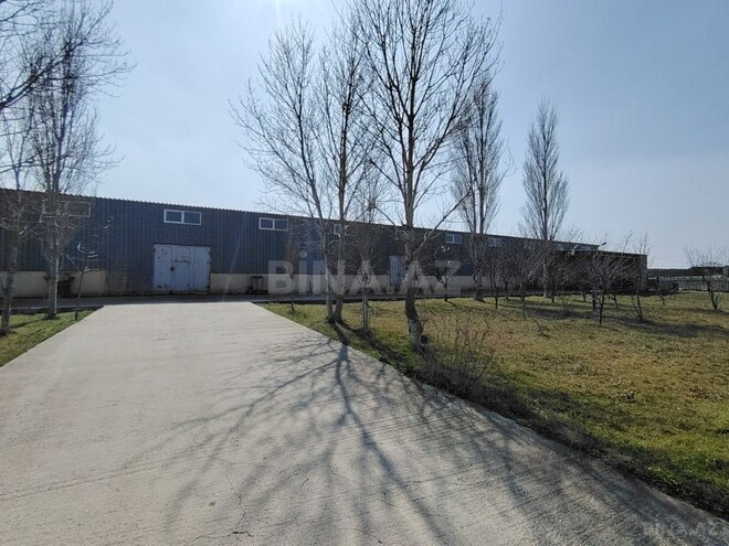 Obyekt - Aşağı Güzdək q. - 30000 m² (5)