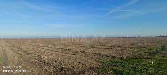 Satılır  torpaq 2 300 sot, Xaçmaz r., photo 20 from 31