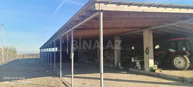 Satılır  torpaq 2 300 sot, Xaçmaz r., photo 21 from 31