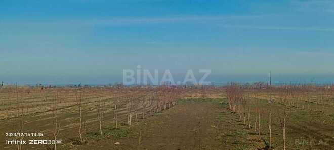 Satılır  torpaq 2 300 sot, Xaçmaz r., photo 23 from 31