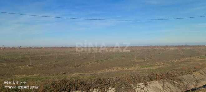 Satılır  torpaq 2 300 sot, Xaçmaz r., photo 16 from 31