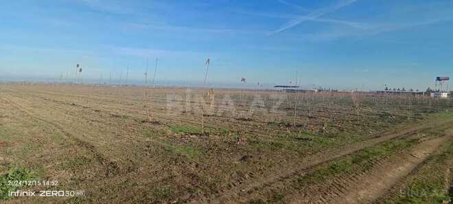 Satılır  torpaq 2 300 sot, Xaçmaz r., photo 30 from 31