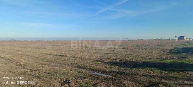 Satılır  torpaq 2 300 sot, Xaçmaz r., photo 8 from 31