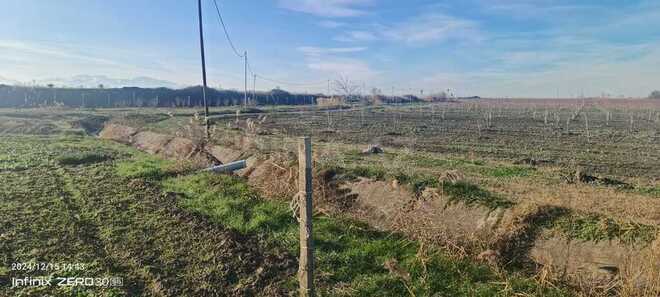 Satılır  torpaq 2 300 sot, Xaçmaz r., photo 12 from 31