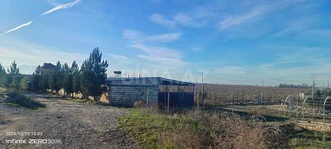 Satılır  torpaq 2 300 sot, Xaçmaz r., photo 24 from 31