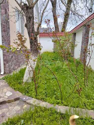 4 otaqlı həyət evi/bağ evi - Şamaxı - 80 m² (23)
