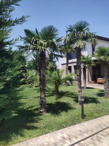 4 otaqlı həyət evi/bağ evi - Türkan q. - 240 m² (3)
