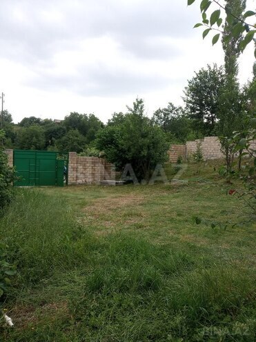 3 otaqlı həyət evi/bağ evi - İsmayıllı - 64 m² (4)