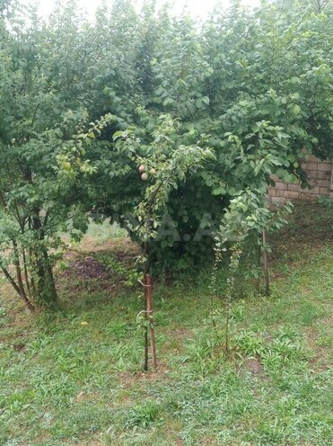 3 otaqlı həyət evi/bağ evi - İsmayıllı - 64 m² (14)