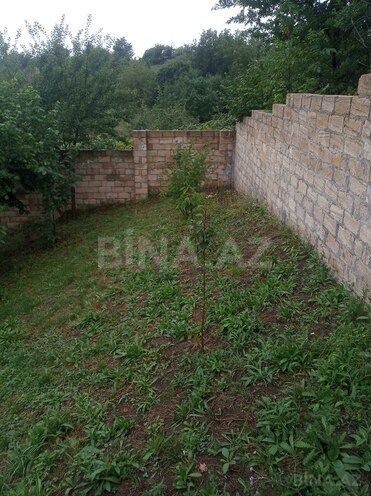 3 otaqlı həyət evi/bağ evi - İsmayıllı - 64 m² (15)