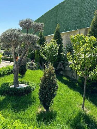 6 otaqlı həyət evi/bağ evi - Şüvəlan q. - 250 m² (28)
