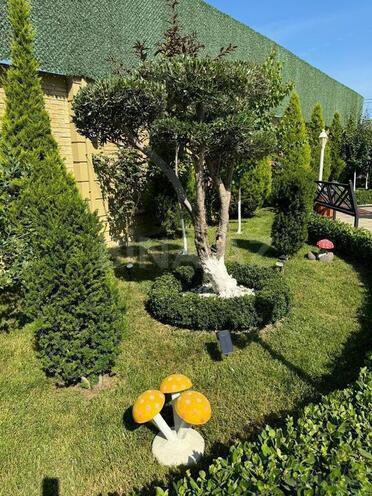 6 otaqlı həyət evi/bağ evi - Şüvəlan q. - 250 m² (4)