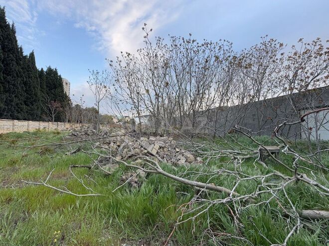 Продаётся  участок 12.2 сот, пос. Бадамдар, photo 9 from 21