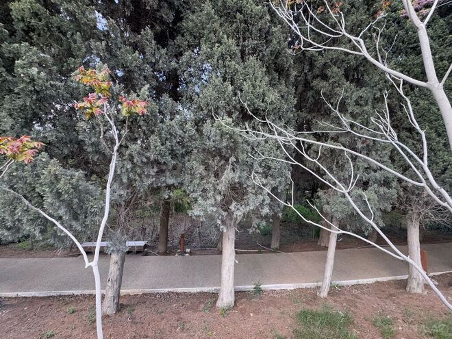 Продаётся  участок 12.2 сот, пос. Бадамдар, photo 5 from 21