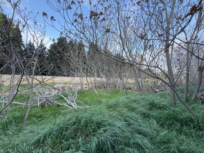 Продаётся  участок 12.2 сот, пос. Бадамдар, photo 7 from 21