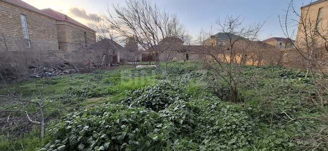 Torpaq - Mehdiabad q. - 10 sot (3)