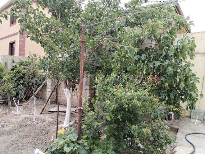 6 otaqlı həyət evi/bağ evi - Sumqayıt - 220 m² (13)