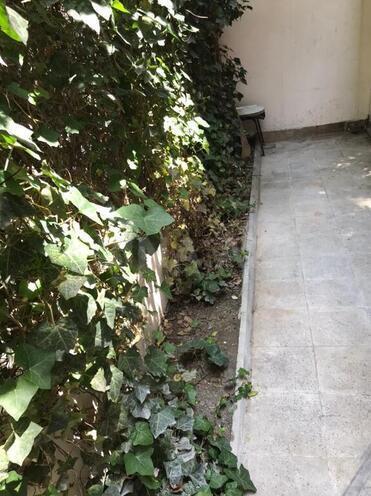 2 otaqlı köhnə tikili - Elmlər Akademiyası m. - 50 m² (10)