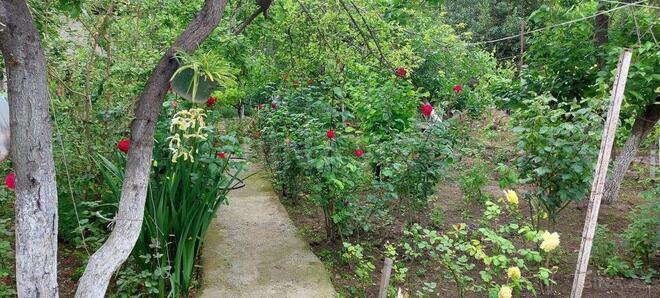 Продаётся  участок 8 сот, м. Азадлыг проспекти, photo 5 from 7