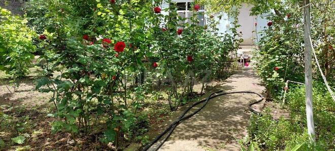 Продаётся  участок 8 сот, м. Азадлыг проспекти, photo 6 from 7