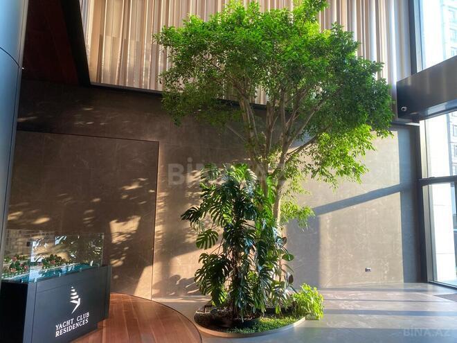 4 otaqlı yeni tikili - İçəri Şəhər m. - 249 m² (19)